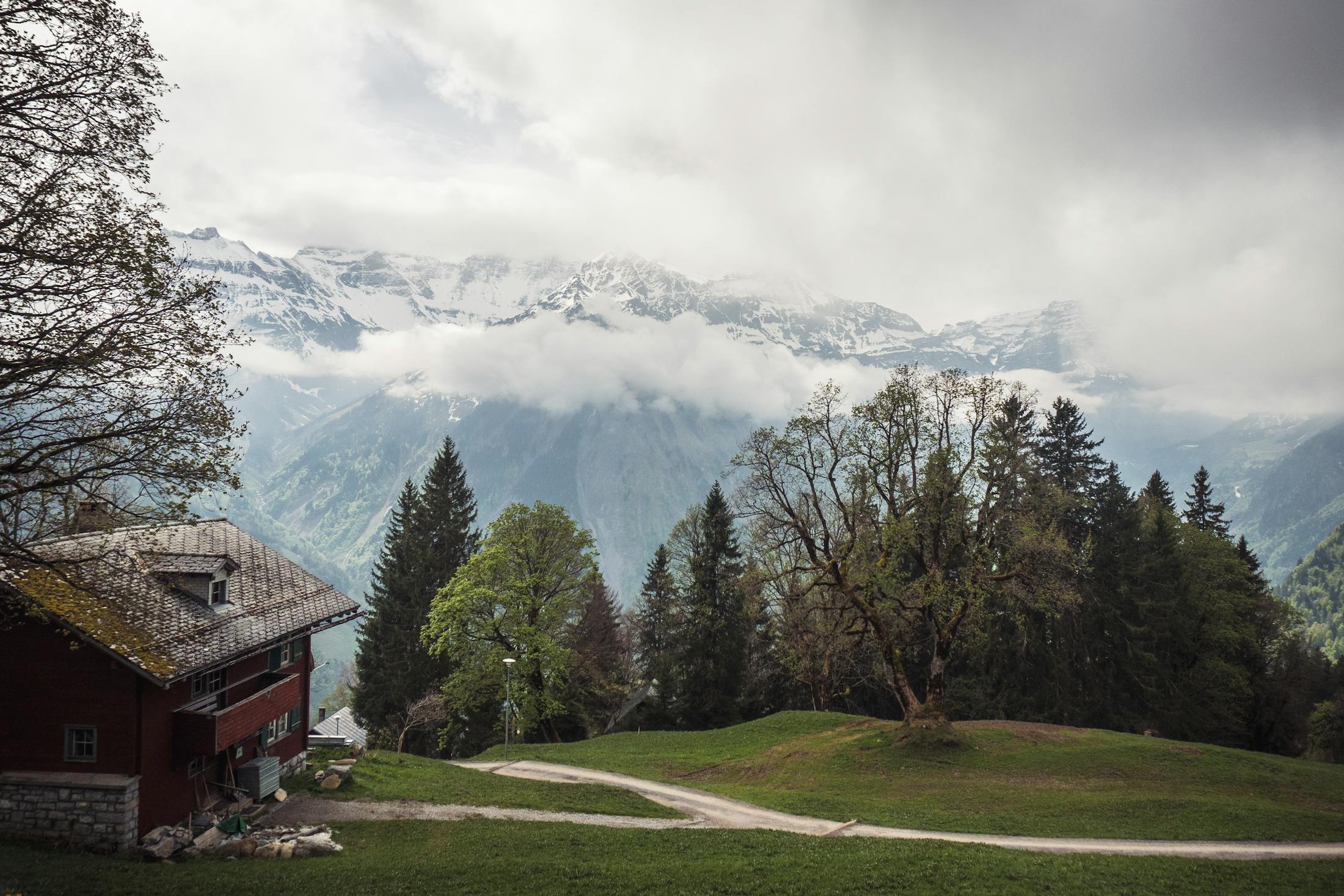 Authorized Users on Credit Cards in Canada: Complete Strategy Guide